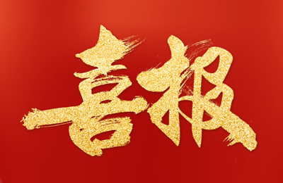 熱烈祝賀浙江瑞儀工業新版網站成功上線！